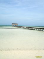 cayo guillermo